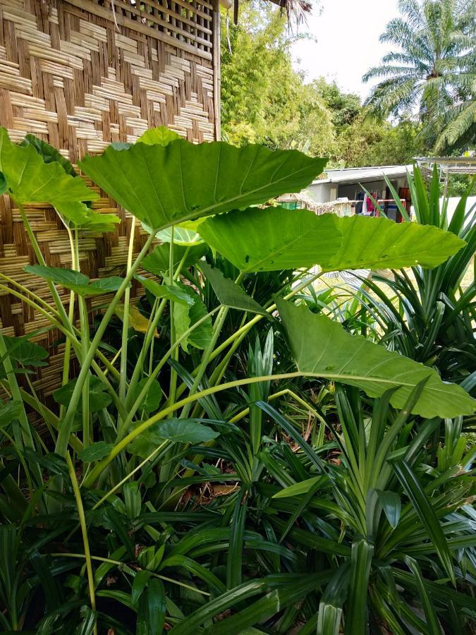 Meechok Organic Home Ao Nang Екстер'єр фото